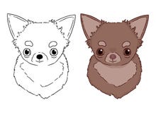 Hand drawn chihuahua colorful portrait on white background. Drawn by hands vector illustration for coloring book for children royalty free illustration Hand drawn chihuahua colorful portrait on white background. Drawn by hands vector illustration for coloring book for children royalty free illustration