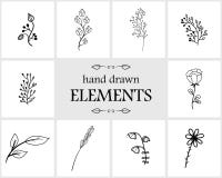 Hand drawn floral logo elements and icons. Cute items for your branding Royalty Free Stock Photos Hand drawn floral logo elements and icons. Cute items for your branding Royalty Free Stock Photos