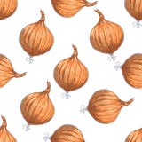 Hand drawn seamless pattern of onions Royalty Free Stock Photography Hand drawn seamless pattern of onions Royalty Free Stock Photography