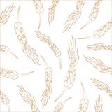 Hand Drawn Seamless Vector Wheat Spikelets Background Royalty Free Stock Photos Hand Drawn Seamless Vector Wheat Spikelets Background Royalty Free Stock Photos
