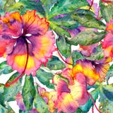 Hand drawn seamless watercolor exotic pattern with passiflora leaves and hibiscus flowers. vector illustration Hand drawn seamless watercolor exotic pattern with passiflora leaves and hibiscus flowers. vector illustration