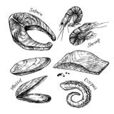 Hand drawn vector illustration - Set of seafood Vector Illustration Hand drawn vector illustration - Set of seafood Vector Illustration