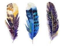 Hand drawn watercolor feather set. Boho style