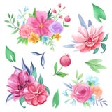 Hand drawn watercolor floral collection. Watercolor flowers, leaves, bouquets