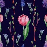 Hand drawn watercolor floral Seamless pattern royalty free illustration Hand drawn watercolor floral Seamless pattern royalty free illustration