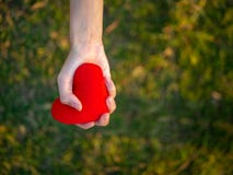 Hand för ung kvinna för bästa sikt som rymmer röd hjärta Lyckligt förälskelse, Valentine Concept fotografering för bildbyråer Hand för ung kvinna för bästa sikt som rymmer röd hjärta Lyckligt förälskelse, Valentine Concept fotografering för bildbyråer