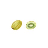 Hand getrokken waterverfkiwi met de helft stock illustratie Hand getrokken waterverfkiwi met de helft stock illustratie