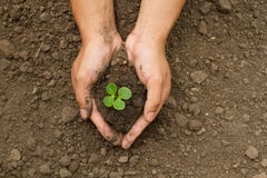Hand grow small plant on dry soil with care royalty free stock photos Hand grow small plant on dry soil with care royalty free stock photos