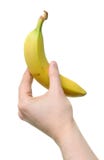 Hand Holding Banana Stock Photo