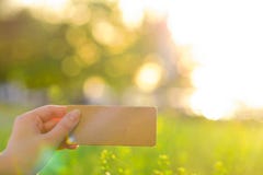 Hand holding empty card on summer background royalty free stock photos Hand holding empty card on summer background royalty free stock photos