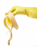 Hand In Rubber Glove 34 Stock Image