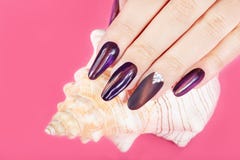 Hand with long artificial manicured nails and seashell royalty free stock images Hand with long artificial manicured nails and seashell royalty free stock images