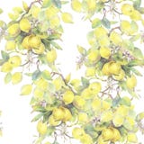 Hand målad vattenfärgillustration sömlös modell med beståndsdelar för citronträdfilial stock illustrationer Hand målad vattenfärgillustration sömlös modell med beståndsdelar för citronträdfilial stock illustrationer