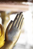 Hand Of Little Buddha Royalty Free Stock Image Hand Of Little Buddha Royalty Free Stock Image