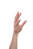 Hand rising and grabbing for other hands Stock Images Hand rising and grabbing for other hands Stock Images