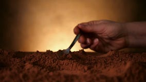 Hand with spoon scooping through cocoa powder