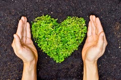 Handen die groene hart gevormde boom houden stock foto Handen die groene hart gevormde boom houden stock foto