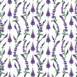Handen m?lade den s?ml?sa modellen f?r vattenf?rgen av v?rblommor royaltyfri illustrationer Handen m?lade den s?ml?sa modellen f?r vattenf?rgen av v?rblommor royaltyfri illustrationer