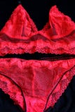 Handmade lace underwear. Sexy red lace lingerie, set of bra and Royalty Free Stock Images Handmade lace underwear. Sexy red lace lingerie, set of bra and Royalty Free Stock Images