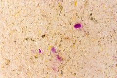 Handmade paper with herbal and floral inclusions stock images Handmade paper with herbal and floral inclusions stock images
