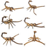Handmade scorpio from car and motorcycle parts, bearing elements. Handmade from car and motorcycle parts, scorpio. Arachnid made of motor bearing elements, drive royalty free stock photos Handmade scorpio from car and motorcycle parts, bearing elements. Handmade from car and motorcycle parts, scorpio. Arachnid made of motor bearing elements, drive royalty free stock photos