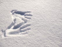 Handprint auf Schnee Impressumhände auf Schnee stockbild Handprint auf Schnee Impressumhände auf Schnee stockbild