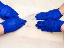 Hands in blue gloves wrap colored fish with fabric