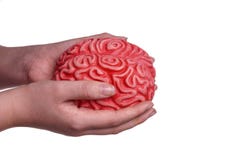 Hands holding Human Brain stock photography Hands holding Human Brain stock photography
