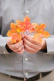 Hands Holding Leaves Stock Photos Hands Holding Leaves Stock Photos