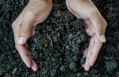 Hands Holding Soil, Organic Fertilizer Royalty Free Stock Photo