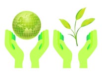 Hands Holding The Globe And A Green Plant Royalty Free Stock Image
