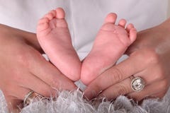Hands Holds A Baby By Its Feet Royalty Free Stock Photos