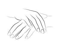 2 hands linework manicure vector vector illustration 2 hands linework manicure vector vector illustration