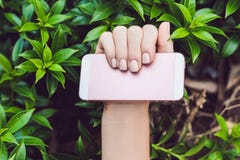 Hands with Pink Nails Hold Pink Phone stock photos Hands with Pink Nails Hold Pink Phone stock photos