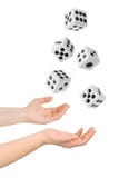Hands Throwing Dices Stock Images