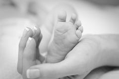 Hands Touch Child S Feet Royalty Free Stock Photography