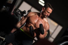 Muscular fitness model exercising with dumbbells stock image Muscular fitness model exercising with dumbbells stock image