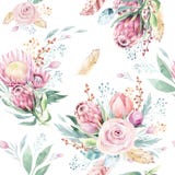 Handzeichnungs-Aquarell-Blumenmuster mit Protearose, -blättern, -niederlassungen und -blumen Böhmisches nahtloses Goldrosa vektor abbildung Handzeichnungs-Aquarell-Blumenmuster mit Protearose, -blättern, -niederlassungen und -blumen Böhmisches nahtloses Goldrosa vektor abbildung