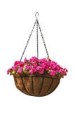 Hanging basket of beautiful flowers