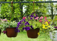 Hanging Baskets With Flowers Stock Images