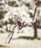 Hanging Flower Vase Stock Images Hanging Flower Vase Stock Images