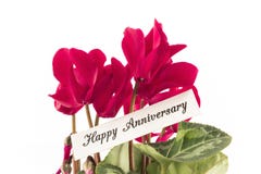 Happy Anniversary Card with Bouquet of Cyclamens Stock Images Happy Anniversary Card with Bouquet of Cyclamens Stock Images