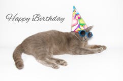 Happy Birthday Card With Funny Cat Royalty Free Stock Image Happy Birthday Card With Funny Cat Royalty Free Stock Image