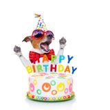 Happy birthday dog singing