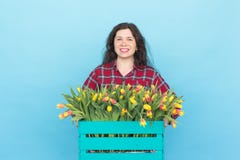 Happy caucasian female florist laughing and holding big box of tulips on blue background royalty free stock photography Happy caucasian female florist laughing and holding big box of tulips on blue background royalty free stock photography