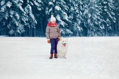 Happy child boy walking with white Samoyed dog in winter day stock images Happy child boy walking with white Samoyed dog in winter day stock images