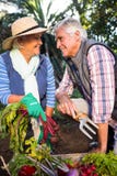Happy couple gardening at botanical farm royalty free stock photography Happy couple gardening at botanical farm royalty free stock photography