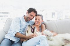 Happy Couple Petting Their Yellow Labrador On The Couch Stock Image Happy Couple Petting Their Yellow Labrador On The Couch Stock Image