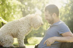 Happy dog and his owner royalty free stock photography Happy dog and his owner royalty free stock photography
