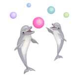 Happy Dolphins playing colorful vector isolated illustration on white background royalty free illustration Happy Dolphins playing colorful vector isolated illustration on white background royalty free illustration